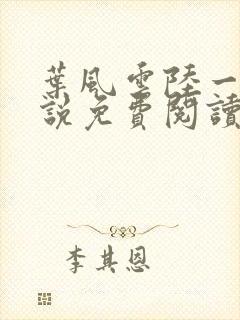 叶风云陆一曼小说免费阅读