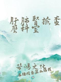 肝肺肾检查挂什么科室