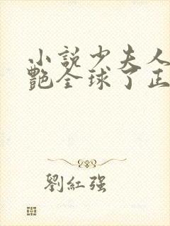 小说少夫人她惊艳全球了正版