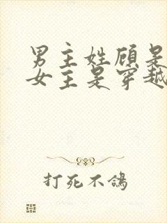 男主姓顾是丞相女主是穿越