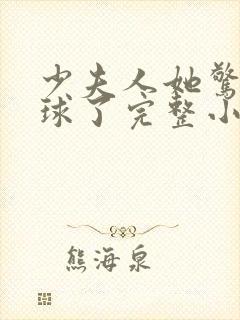 少夫人她惊艳全球了完整小说