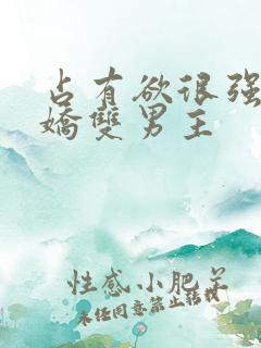 占有欲很强的病娇双男主