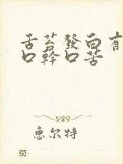 舌苔发白有齿痕口干口苦