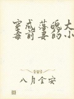 穿成落魄大佬恶毒前妻的小说