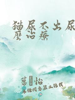 猫尿不出尿血怎么治疗