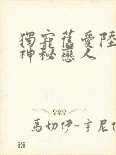 独宠旧爱陆少的神秘恋人