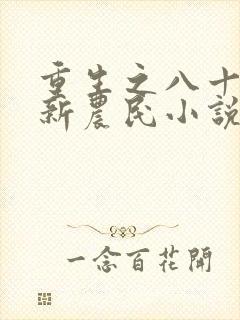 重生之八十年代新农民小说