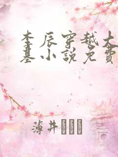 李辰穿越大魏登基小说免费阅读