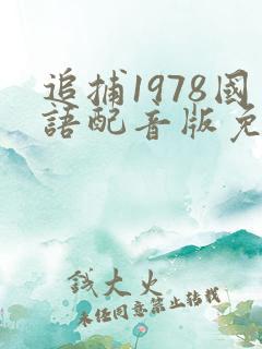 追捕1978国语配音版免费观看