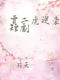 贾二虎逆袭人生短剧