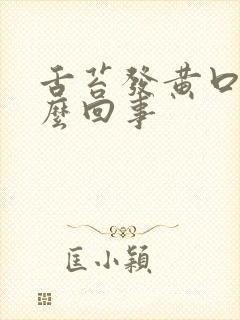 舌苔发黄口苦怎么回事