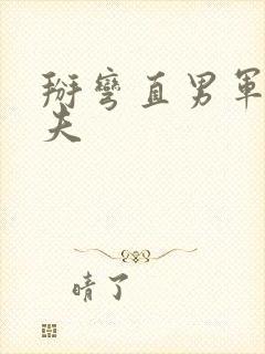 掰弯直男军官姐夫