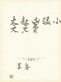 大叔凶猛小说全文免费