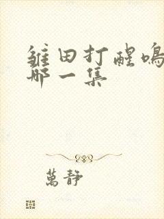 雏田打醒鸣人是哪一集