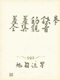 羞羞的铁拳免费全集观看