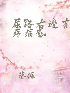 尿路右边有隐约疼痛感