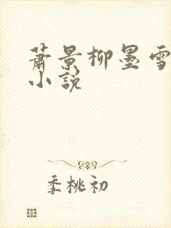 萧景柳墨雪玉娘小说