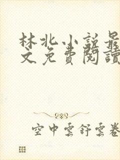 林北小说最新全文免费阅读