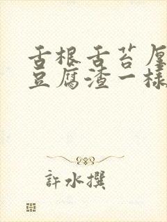 舌根舌苔厚腻像豆腐渣一样