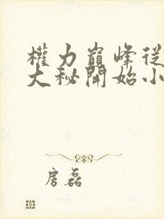 权力巅峰从领导大秘开始小说