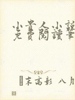 小贵人小说全文免费阅读笔趣阁