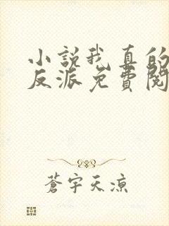 小说我真的不是反派免费阅读