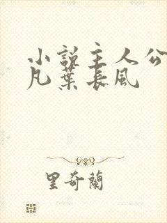 小说主人公叫叶凡叶长风