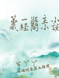 第一版主小说网藏经阁小说网
