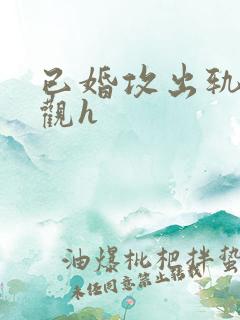 已婚攻出轨无三观h