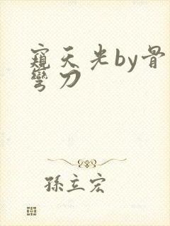 窥天光by骨色弯刀