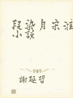 段染月宋淮闻川小说