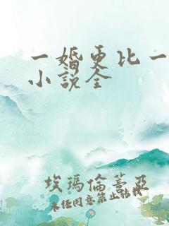 一婚更比一婚高小说全