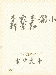 李霖李澜小说最新章节