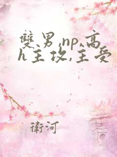 双男,np,高h主攻,主受