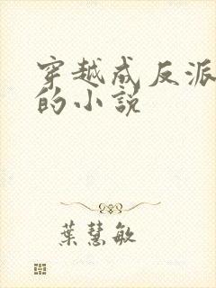 穿越成反派男主的小说