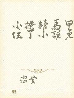 小撩精马甲捂不住了小说免费阅读