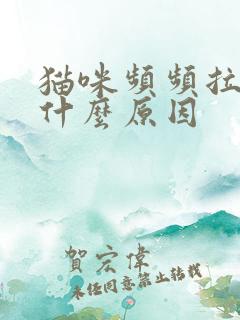 猫咪频频拉尿是什么原因