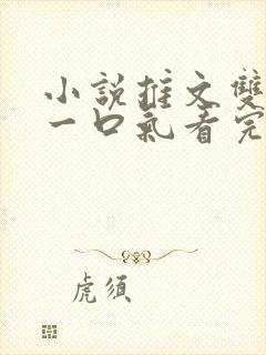 小说推文双女主一口气看完已完结