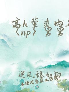 高h荤爽肉欲文〈np〉男男