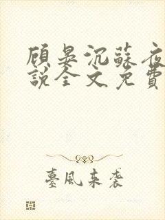 顾晏沉苏夜黎小说全文免费阅读