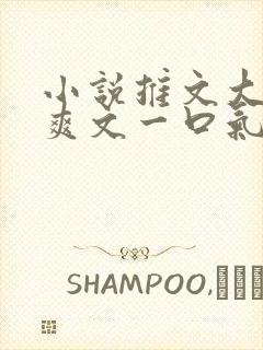 小说推文大女主爽文一口气看完重生有系统