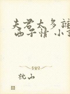 夫君太多谁的错 西子情 小说