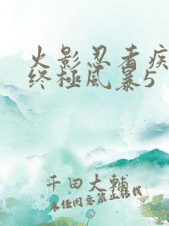 火影忍者疾风传终极风暴5