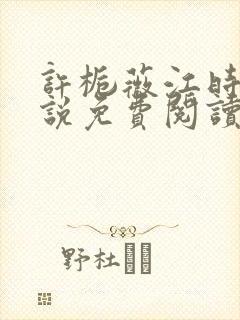 许栀薇江时宴小说免费阅读最新章节