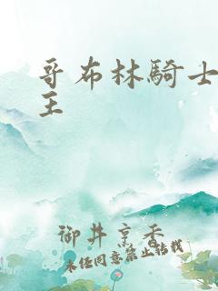 哥布林骑士和男主