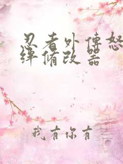 忍者外传怒之羁绊修改器