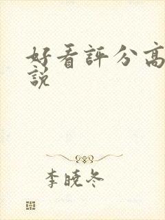 好看评分高的小说