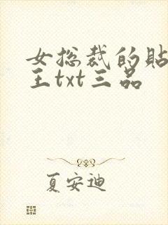 女总裁的贴身兵王txt三品