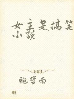 女主是搞笑女的小说