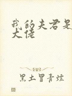 我的夫君是反派大佬